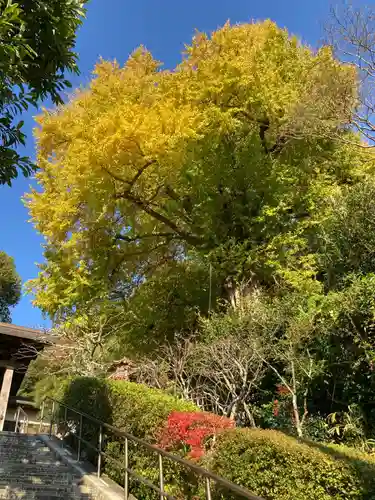 荏柄天神社(神奈川県)