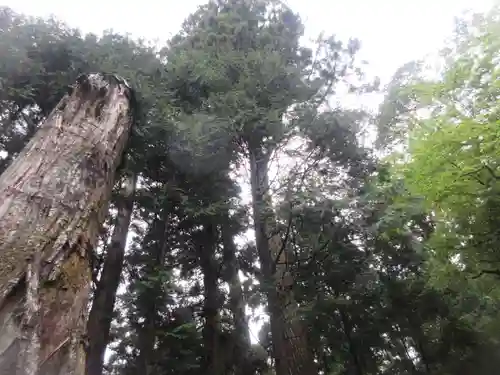 日光東照宮(栃木県)