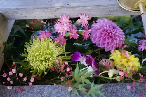 豊景神社の手水舎