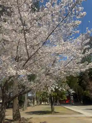 小野神社の{uncategorized: "未分類", other: "その他", undefined: "問題あり", building: "その他建物", grave: "お墓", sacred_gate: "鳥居", guardian: "狛犬", statue: "像", buddha: "仏像", history: "歴史", nature: "自然", garden: "庭園", animal: "動物", pagoda: "塔", temizu: "手水舎", mountain_gate: "山門・神門", sanctuary: "本殿・本堂", subordinate: "末社・摂社", art: "芸術", scenery: "景色", jizo: "地蔵", ema: "絵馬", goshuin: "御朱印", omikuji: "おみくじ", items: "授与品その他", amulet: "お守り", goshuincho: "御朱印帳", eats: "食事", festival: "お祭り", votive_dance: "神楽", shichigosan: "七五三参", wedding: "結婚式", experience: "体験その他", initially: "初詣", around: "周辺", anti_infection: "感染症対策"}