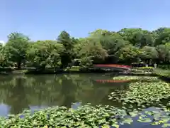 早水神社の庭園