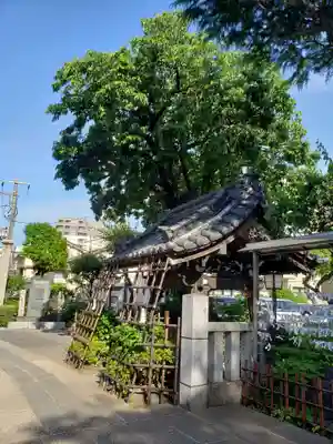 白山神社(東京都)