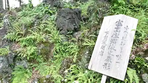 河口浅間神社の自然