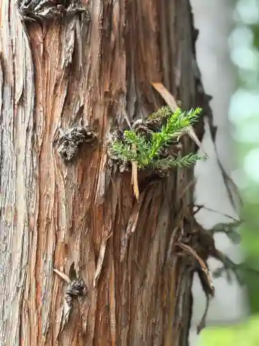 西野神社(北海道)