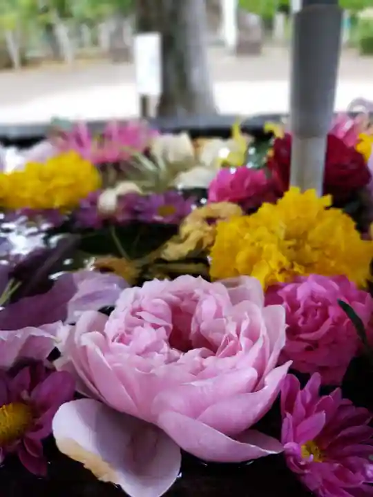 鳩森八幡神社の手水舎