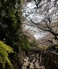 王子神社の周辺