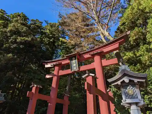 彌彦神社の鳥居