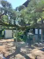 妙典寺(三重県)