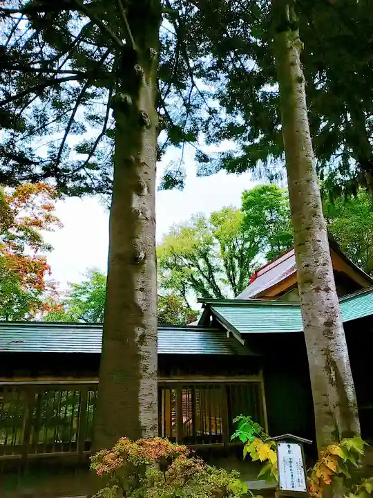 琴似神社のその他建物