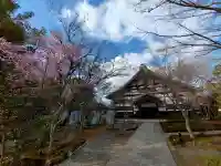 高台寺(高台寿聖禅寺・高臺寺)の{uncategorized: "未分類", other: "その他", undefined: "問題あり", building: "その他建物", grave: "お墓", sacred_gate: "鳥居", guardian: "狛犬", statue: "像", buddha: "仏像", history: "歴史", nature: "自然", garden: "庭園", animal: "動物", pagoda: "塔", temizu: "手水舎", mountain_gate: "山門・神門", sanctuary: "本殿・本堂", subordinate: "末社・摂社", art: "芸術", scenery: "景色", jizo: "地蔵", ema: "絵馬", goshuin: "御朱印", omikuji: "おみくじ", items: "授与品その他", amulet: "お守り", goshuincho: "御朱印帳", eats: "食事", festival: "お祭り", votive_dance: "神楽", shichigosan: "七五三参", wedding: "結婚式", experience: "体験その他", initially: "初詣", around: "周辺", anti_infection: "感染症対策"}