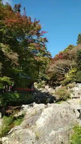 西法院の庭園