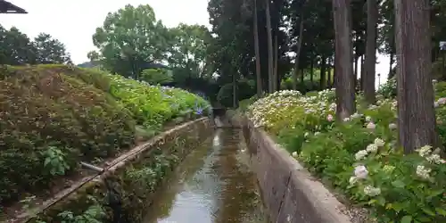 三室戸寺の庭園