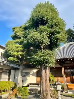 龍源寺(静岡県)