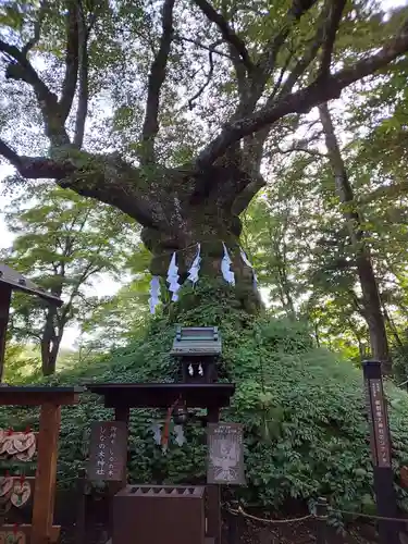 熊野皇大神社(長野県)