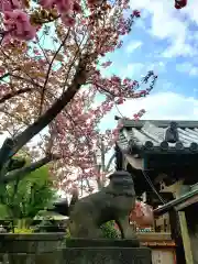 荘厳寺の狛犬