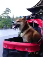 善光寺の{uncategorized: "未分類", other: "その他", undefined: "問題あり", building: "その他建物", grave: "お墓", sacred_gate: "鳥居", guardian: "狛犬", statue: "像", buddha: "仏像", history: "歴史", nature: "自然", garden: "庭園", animal: "動物", pagoda: "塔", temizu: "手水舎", mountain_gate: "山門・神門", sanctuary: "本殿・本堂", subordinate: "末社・摂社", art: "芸術", scenery: "景色", jizo: "地蔵", ema: "絵馬", goshuin: "御朱印", omikuji: "おみくじ", items: "授与品その他", amulet: "お守り", goshuincho: "御朱印帳", eats: "食事", festival: "お祭り", votive_dance: "神楽", shichigosan: "七五三参", wedding: "結婚式", experience: "体験その他", initially: "初詣", around: "周辺", anti_infection: "感染症対策"}
