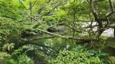 宝蔵寺(福島県)