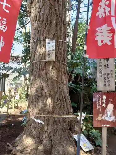 麻賀多神社の自然