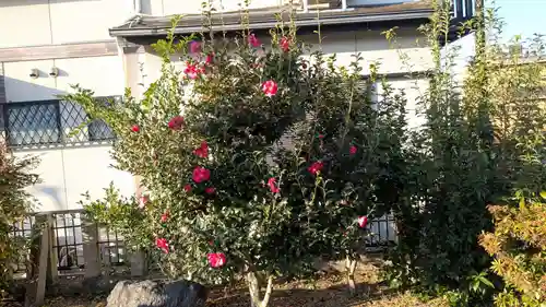 彼方神社の自然