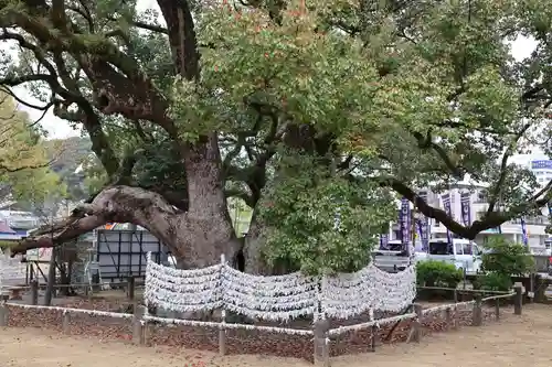 諫早神社（九州総守護  四面宮）(長崎県)