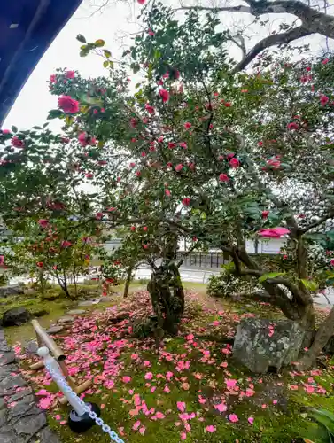 霊鑑寺門跡(京都府)