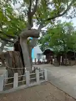 阿邪訶根神社(福島県)