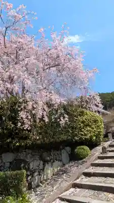 圓光寺(京都府)
