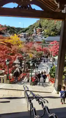 朝護孫子寺(奈良県)