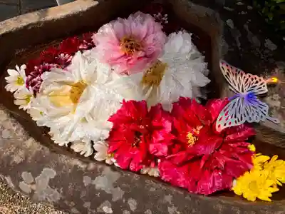 真言宗　善通寺派　薬王寺(香川県)