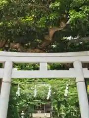 御霊神社(神奈川県)