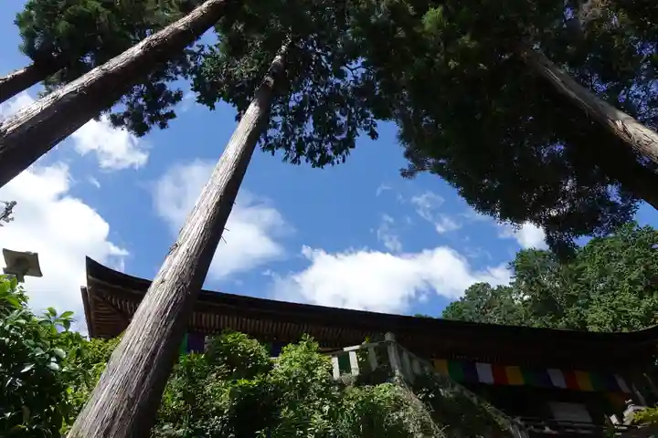 長命寺のその他建物