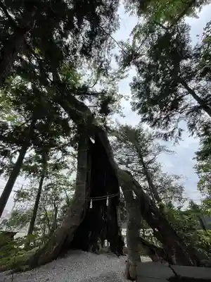 上野総社神社(群馬県)