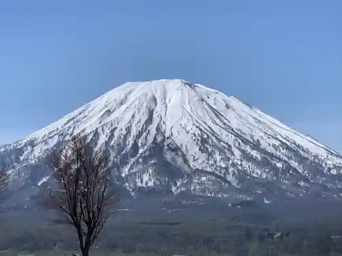 倶知安神社の自然