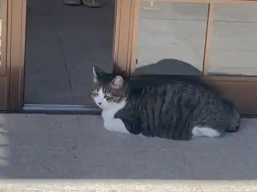 山梨縣護國神社の動物