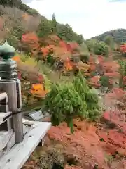 清水寺(京都府)