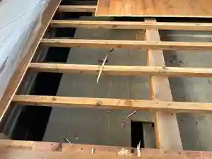 總社 和田八幡宮(福井県)(2025年10月05日(日) 15時38分52秒投稿)