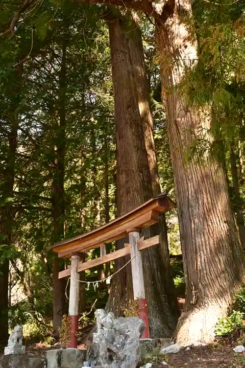 三所神社(桑の川の大杉)(高知県)