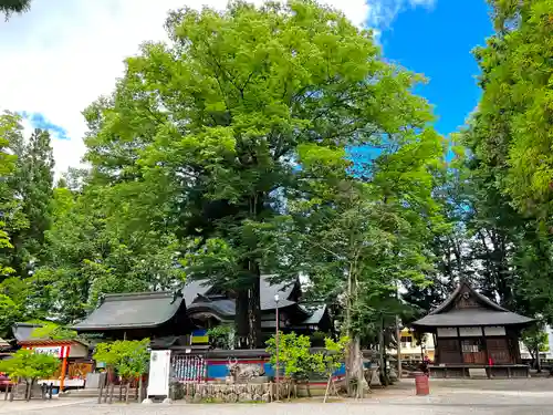 飛騨天満宮の自然