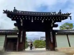 仁和寺の山門