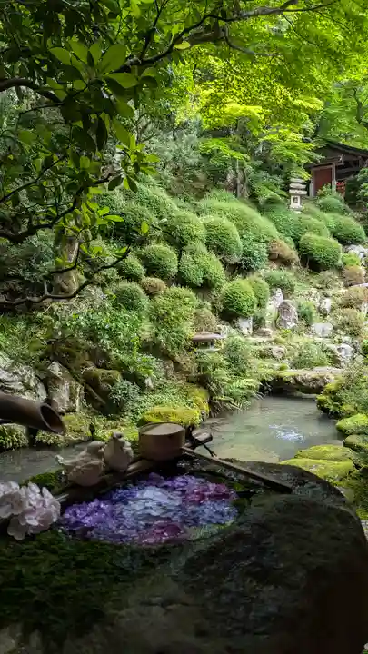 柳谷観音 楊谷寺(京都府)