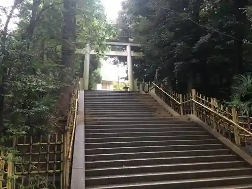 渋谷氷川神社の鳥居