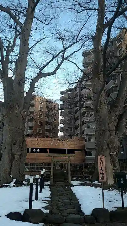 熊野神社の自然