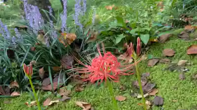 三千院門跡(京都府)