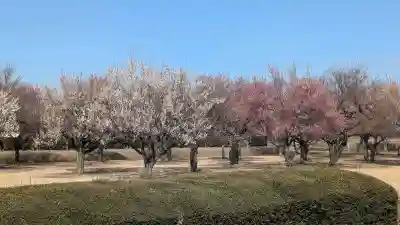 下野薬師寺 (旧 安國寺)の{uncategorized: "未分類", other: "その他", undefined: "問題あり", building: "その他建物", grave: "お墓", sacred_gate: "鳥居", guardian: "狛犬", statue: "像", buddha: "仏像", history: "歴史", nature: "自然", garden: "庭園", animal: "動物", pagoda: "塔", temizu: "手水舎", mountain_gate: "山門・神門", sanctuary: "本殿・本堂", subordinate: "末社・摂社", art: "芸術", scenery: "景色", jizo: "地蔵", ema: "絵馬", goshuin: "御朱印", omikuji: "おみくじ", items: "授与品その他", amulet: "お守り", goshuincho: "御朱印帳", eats: "食事", festival: "お祭り", votive_dance: "神楽", shichigosan: "七五三参", wedding: "結婚式", experience: "体験その他", initially: "初詣", around: "周辺", anti_infection: "感染症対策"}