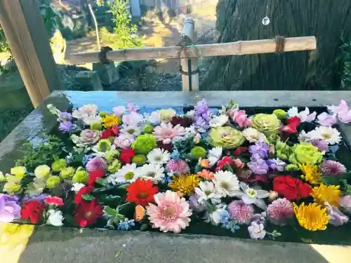 糀谷八幡宮の{uncategorized: "未分類", other: "その他", undefined: "問題あり", building: "その他建物", grave: "お墓", sacred_gate: "鳥居", guardian: "狛犬", statue: "像", buddha: "仏像", history: "歴史", nature: "自然", garden: "庭園", animal: "動物", pagoda: "塔", temizu: "手水舎", mountain_gate: "山門・神門", sanctuary: "本殿・本堂", subordinate: "末社・摂社", art: "芸術", scenery: "景色", jizo: "地蔵", ema: "絵馬", goshuin: "御朱印", omikuji: "おみくじ", items: "授与品その他", amulet: "お守り", goshuincho: "御朱印帳", eats: "食事", festival: "お祭り", votive_dance: "神楽", shichigosan: "七五三参", wedding: "結婚式", experience: "体験その他", initially: "初詣", around: "周辺", anti_infection: "感染症対策"}