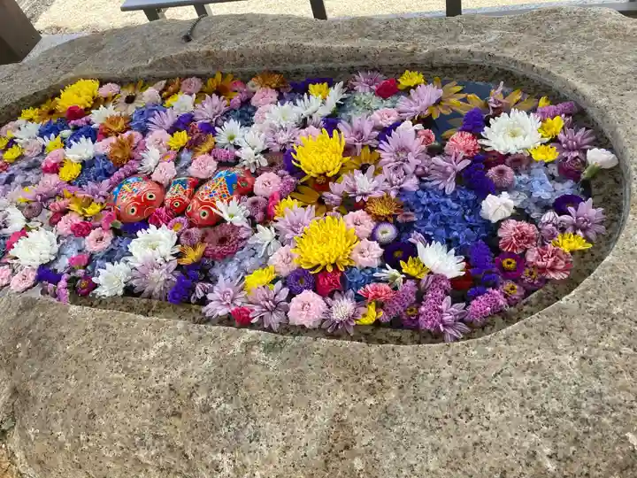 金井神社の手水舎