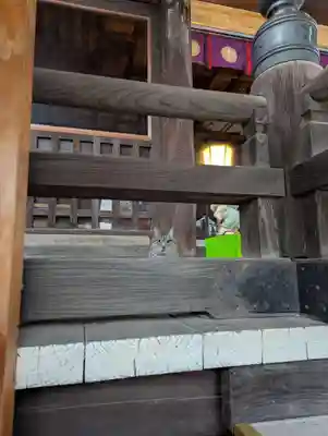 櫻山神社(岩手県)