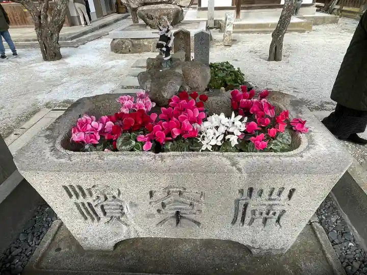 綱敷天満宮(福岡県)