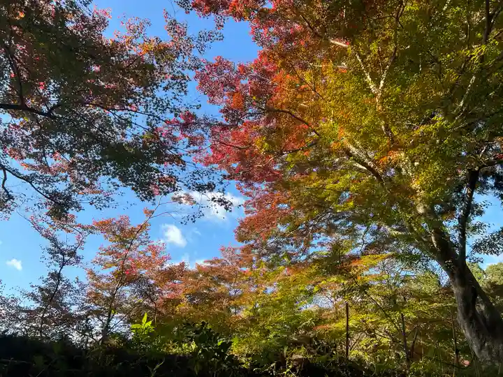 中尊寺(岩手県)