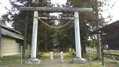 桜町二宮神社の鳥居